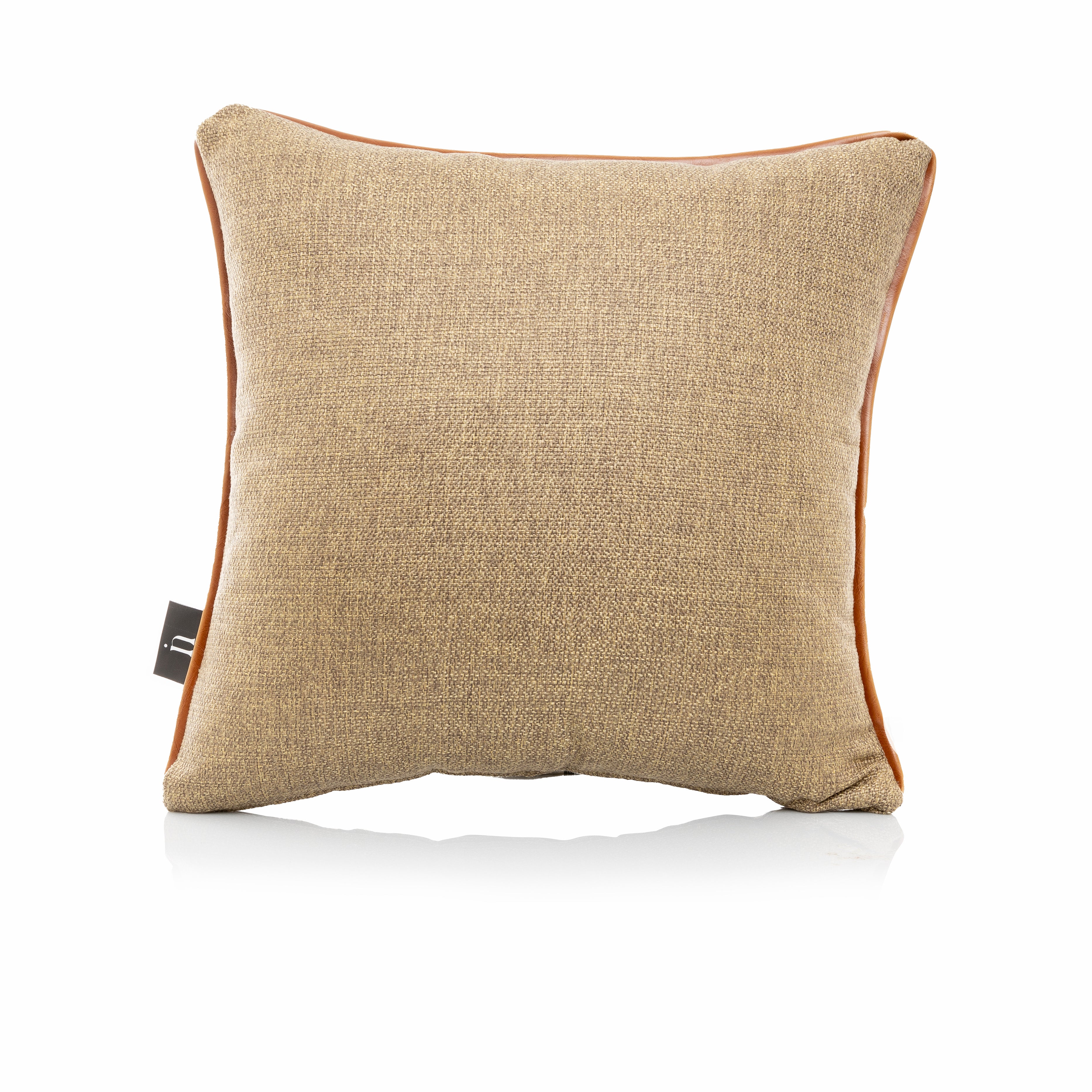 Oorsprong Pillow